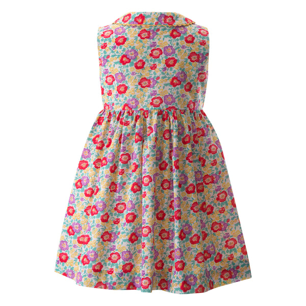 Carnation Sleeveless Button-Front Dress