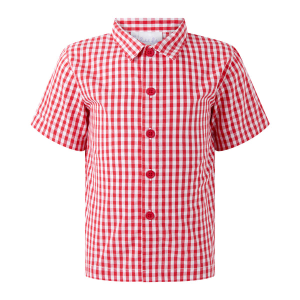 red gingham dress shirt The Gingham Dress Shirt