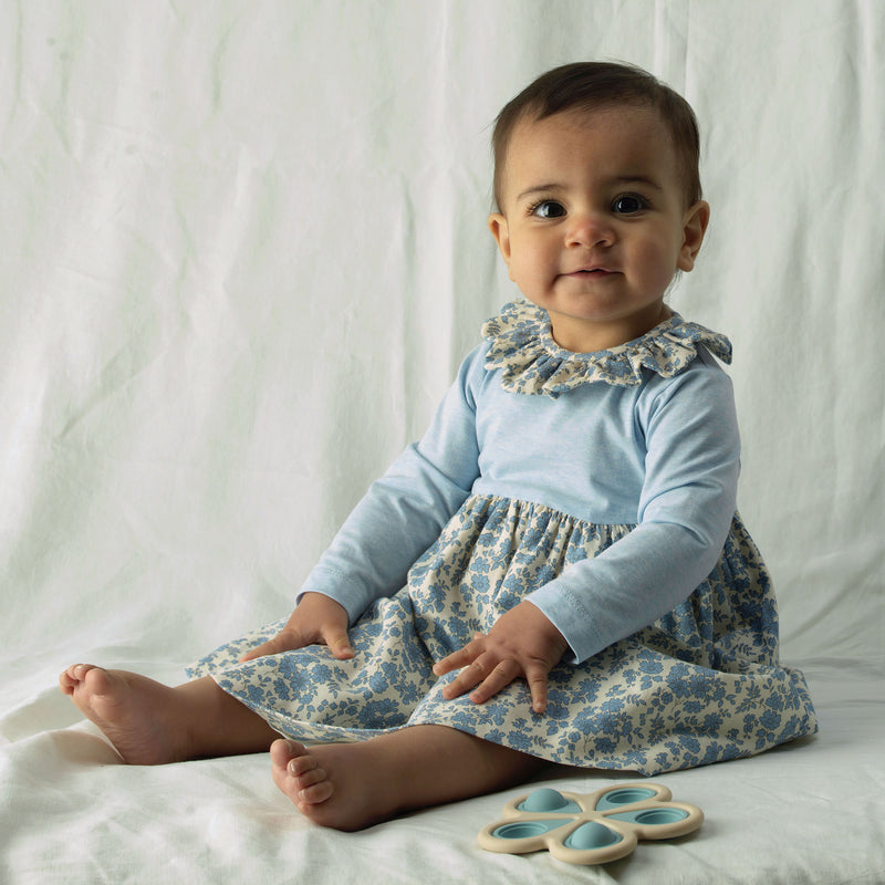 Blue Floral Frill Collar Dress