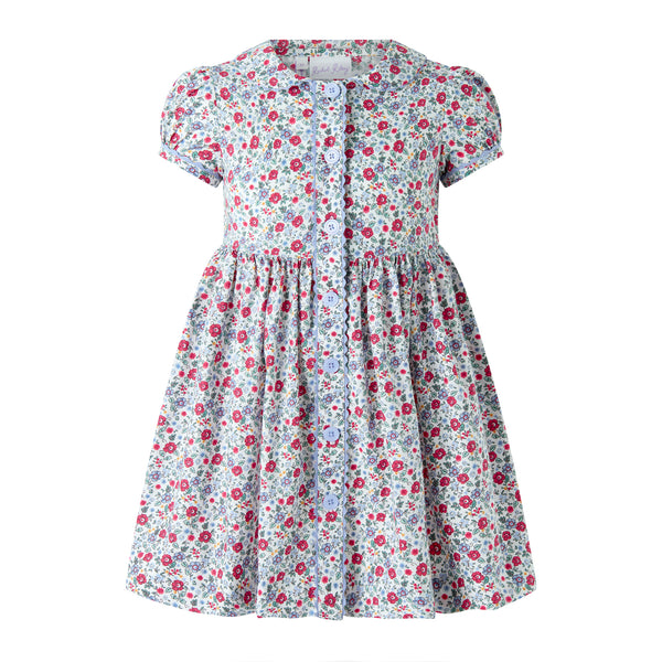 Blue Ditsy Floral Button-Front Dress