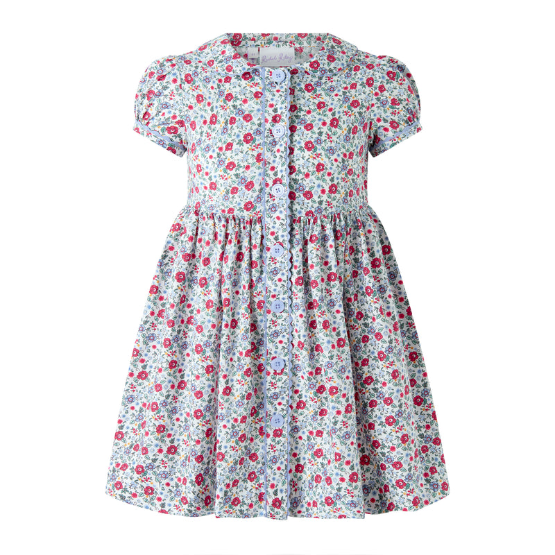 Blue Ditsy Floral Button-Front Dress
