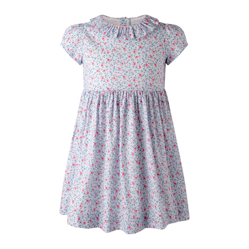 Mini Bouquet Frill Collar Dress
