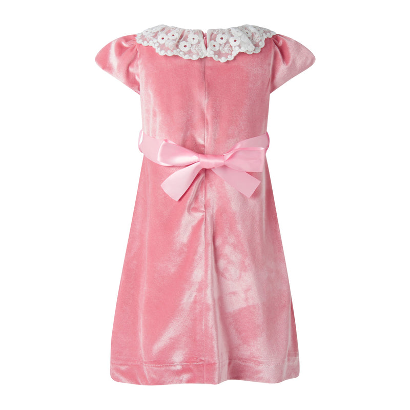 Lace Collar Pink Velvet Dress Rachel Riley US