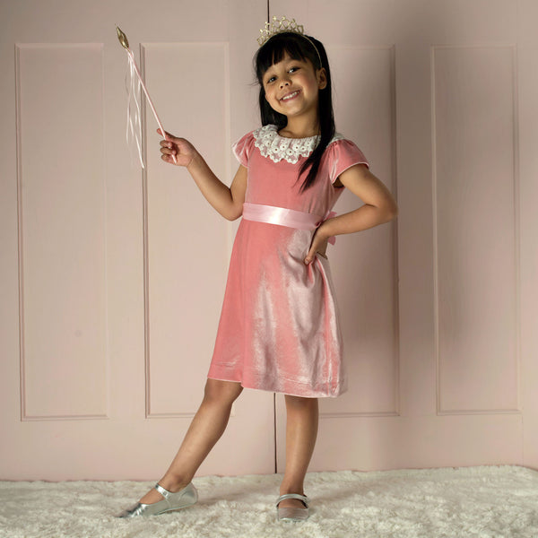 Lace Collar Pink Velvet Dress