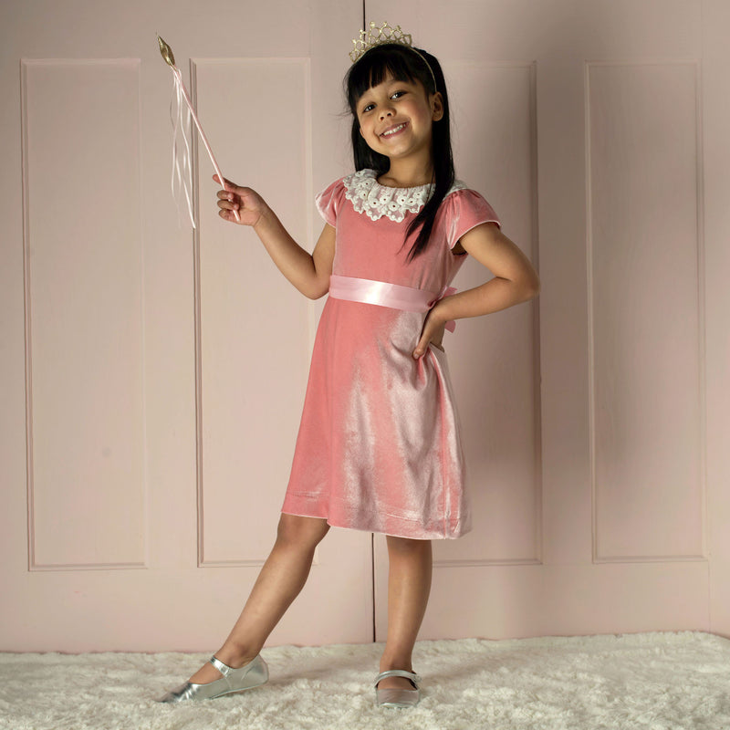 Lace Collar Pink Velvet Dress