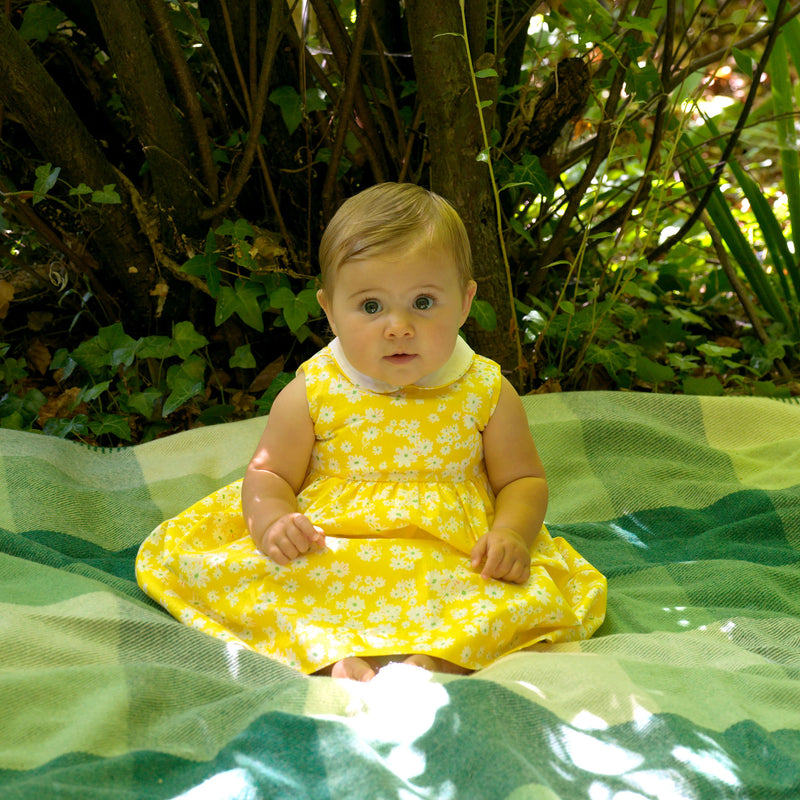 yellow infant dress Yellow Daisy Peter Pan Collar Dress and Bloomers – Rachel Riley US